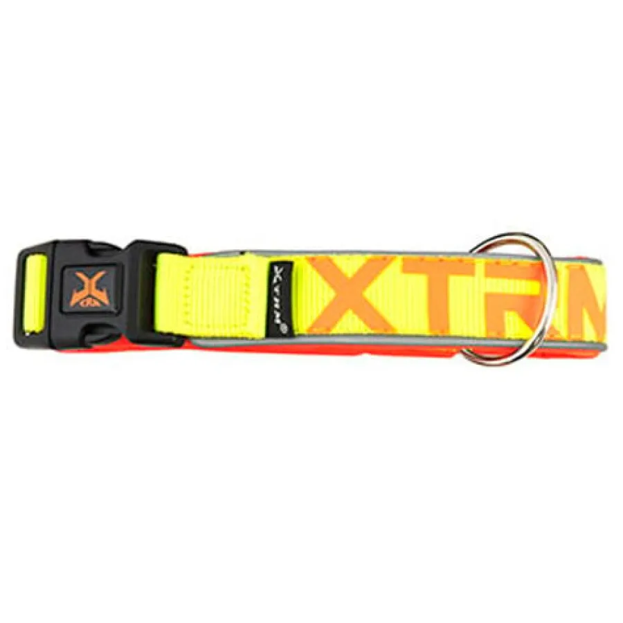 Nayeco X-TRM Neon Flash Collar Limón para perros Best