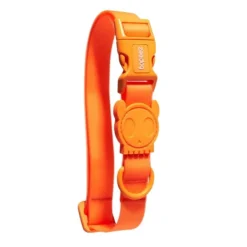 Zee.Dog Zeedog Neopro Collar Naranja Mandarina para Perros New