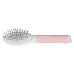 Zolux Anah Bimaterial cepillo para gatos Best